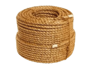 Tali_Manila_1-removebg-preview